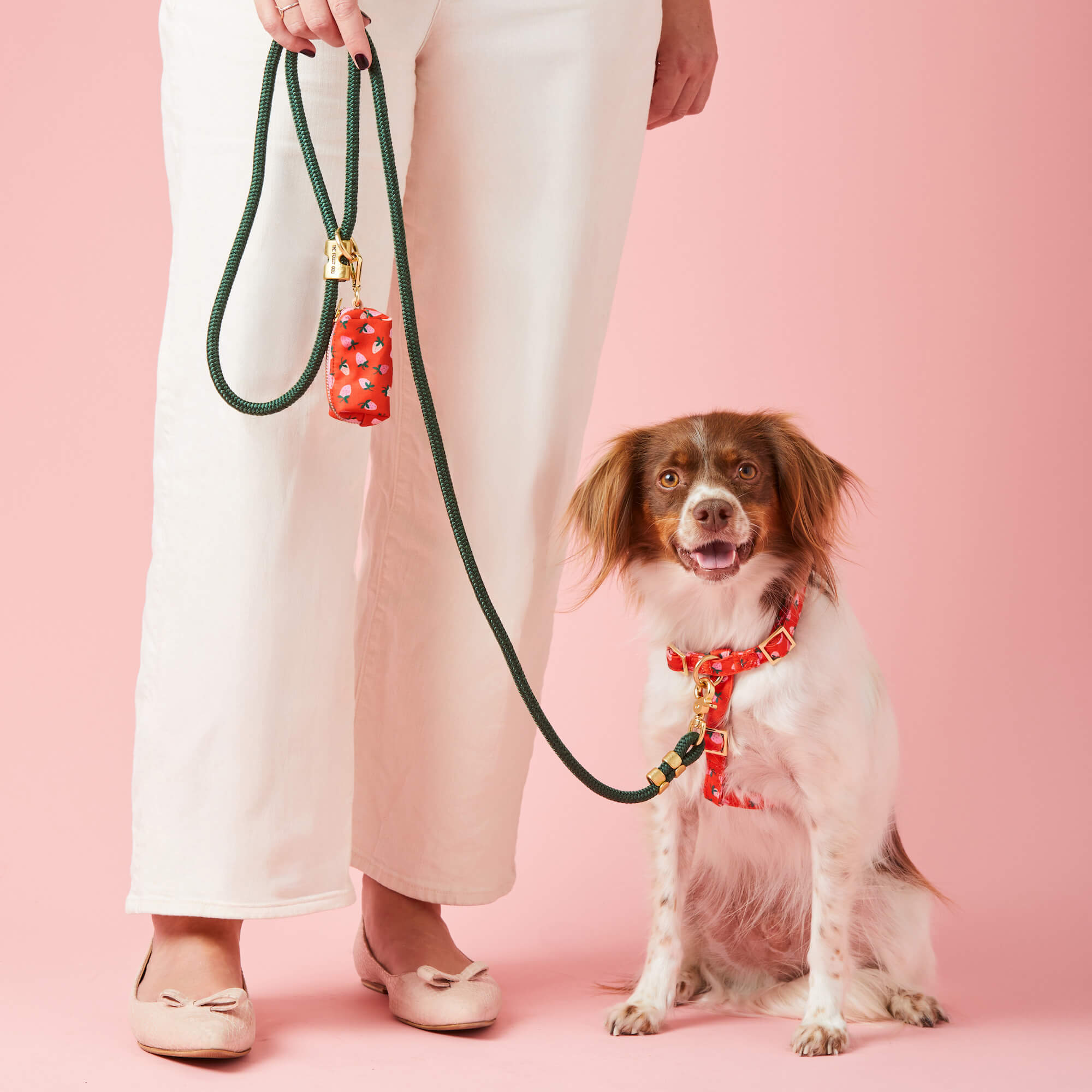 Evergreen Marine Rope Dog Leash