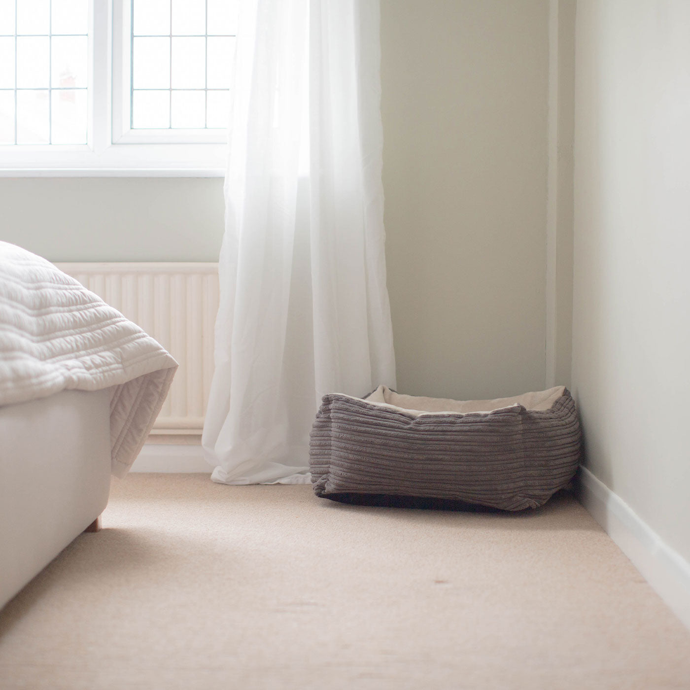 Box Bed For Dogs in Essentials Plush by Lords & Labradors