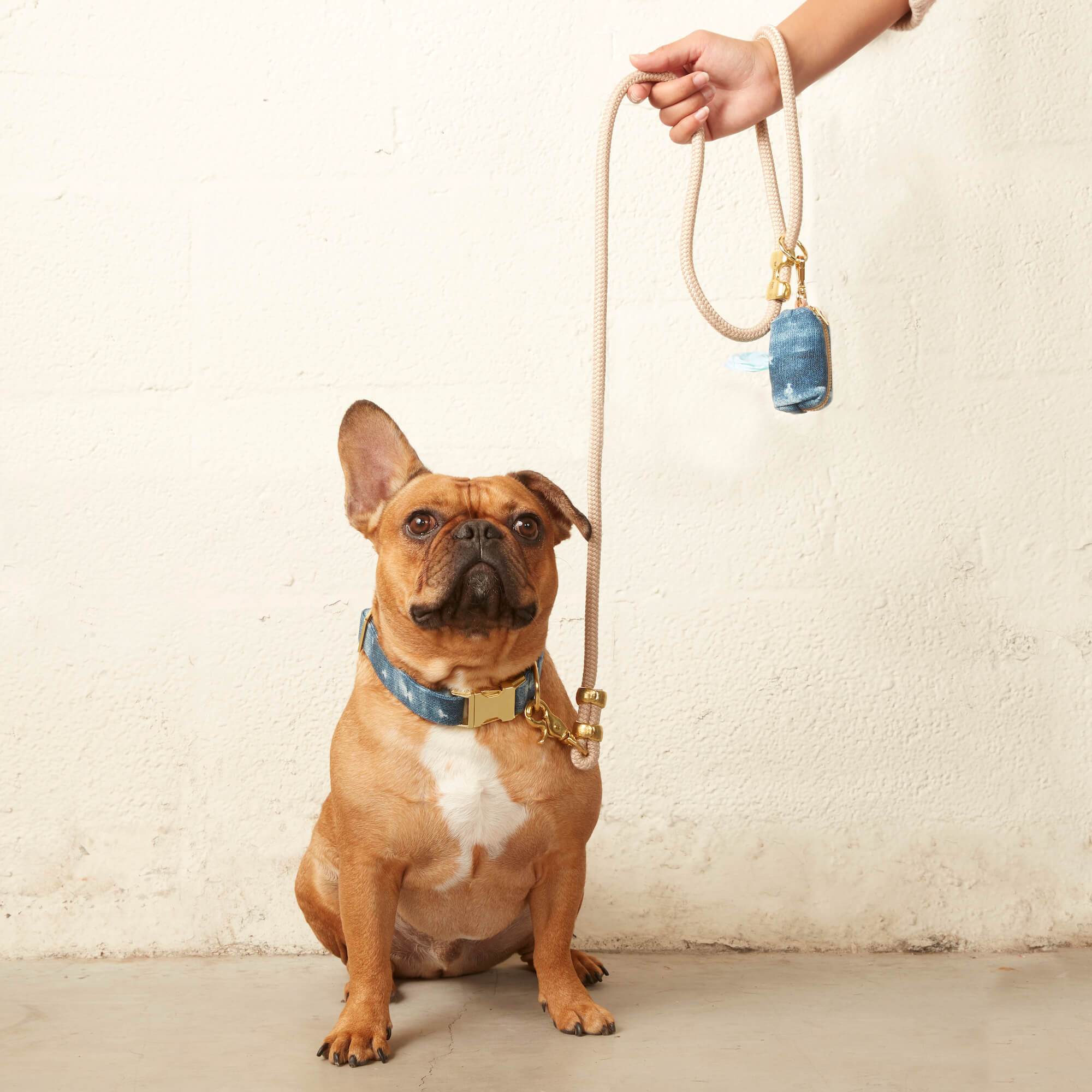 Flax Marine Rope Dog Leash