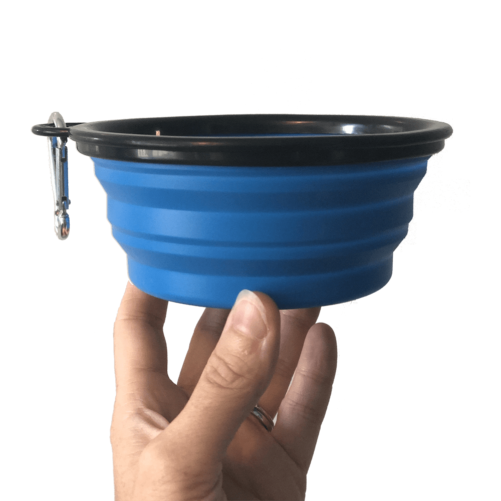 The Go Anywhere Bowl Collapsible Travel Pet Food and Water Dish For Cats