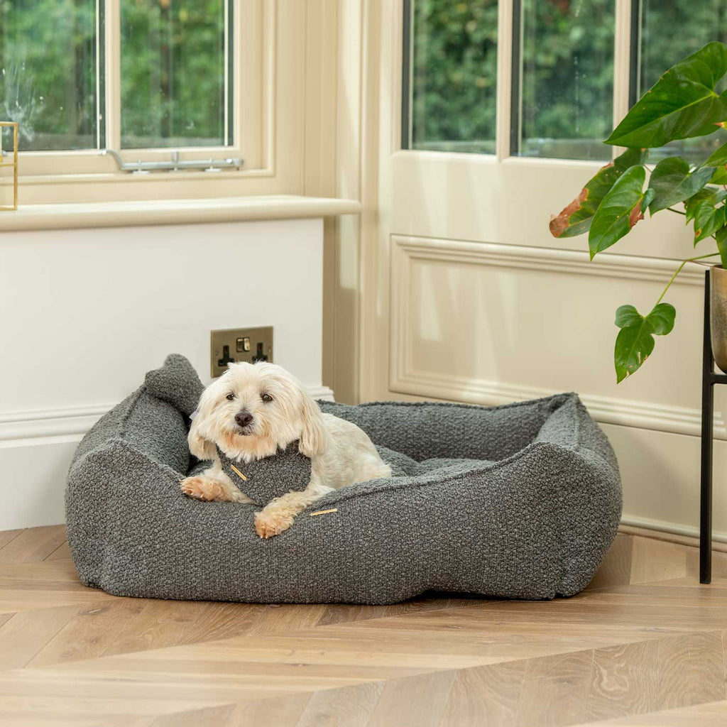 Box Bed For Dogs in Boucl¨¦ by Lords & Labradors