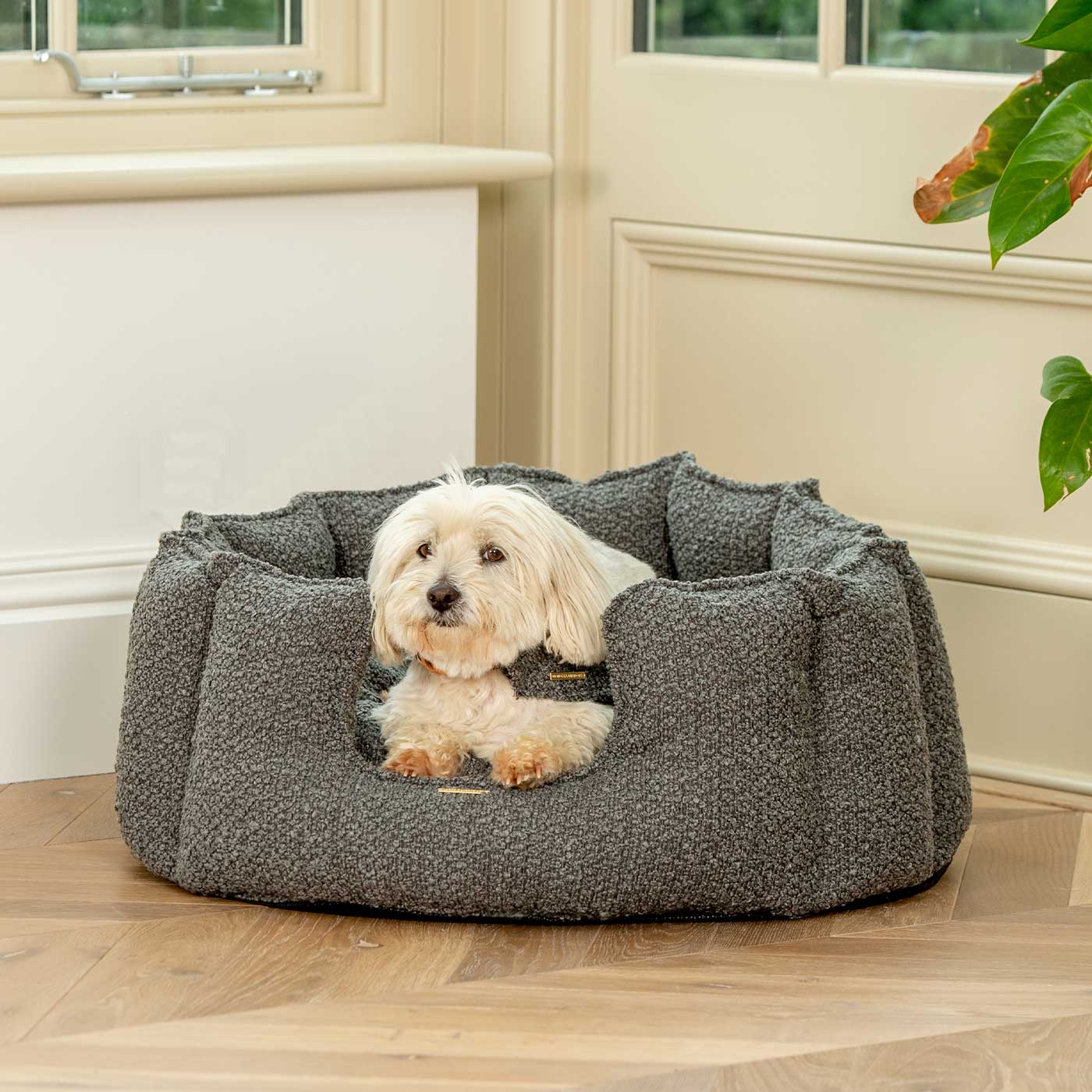 High Wall Bed For Dogs in Boucl¨¦ by Lords & Labradors