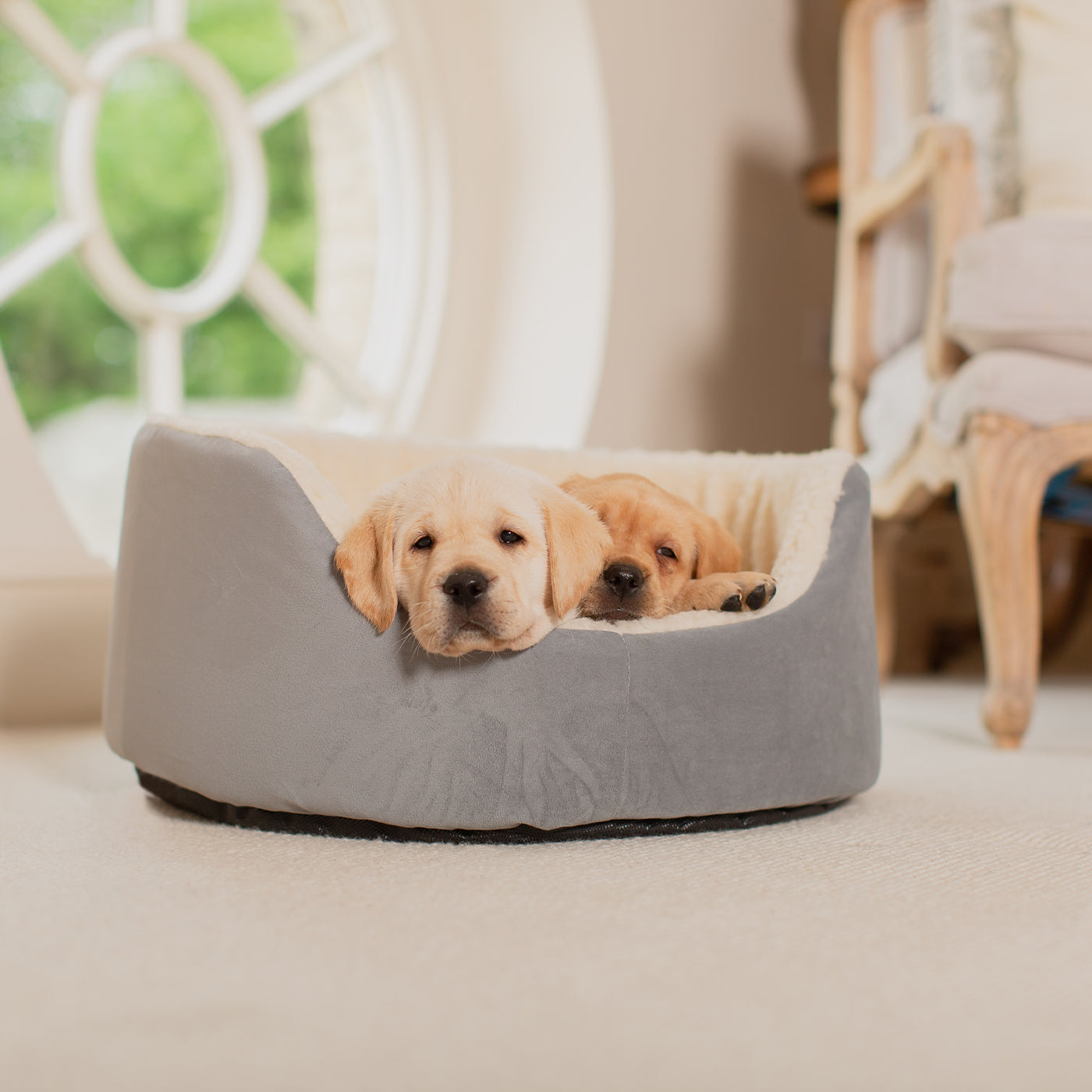 Grow With Me Puppy Bed in Grey by Lords & Labradors