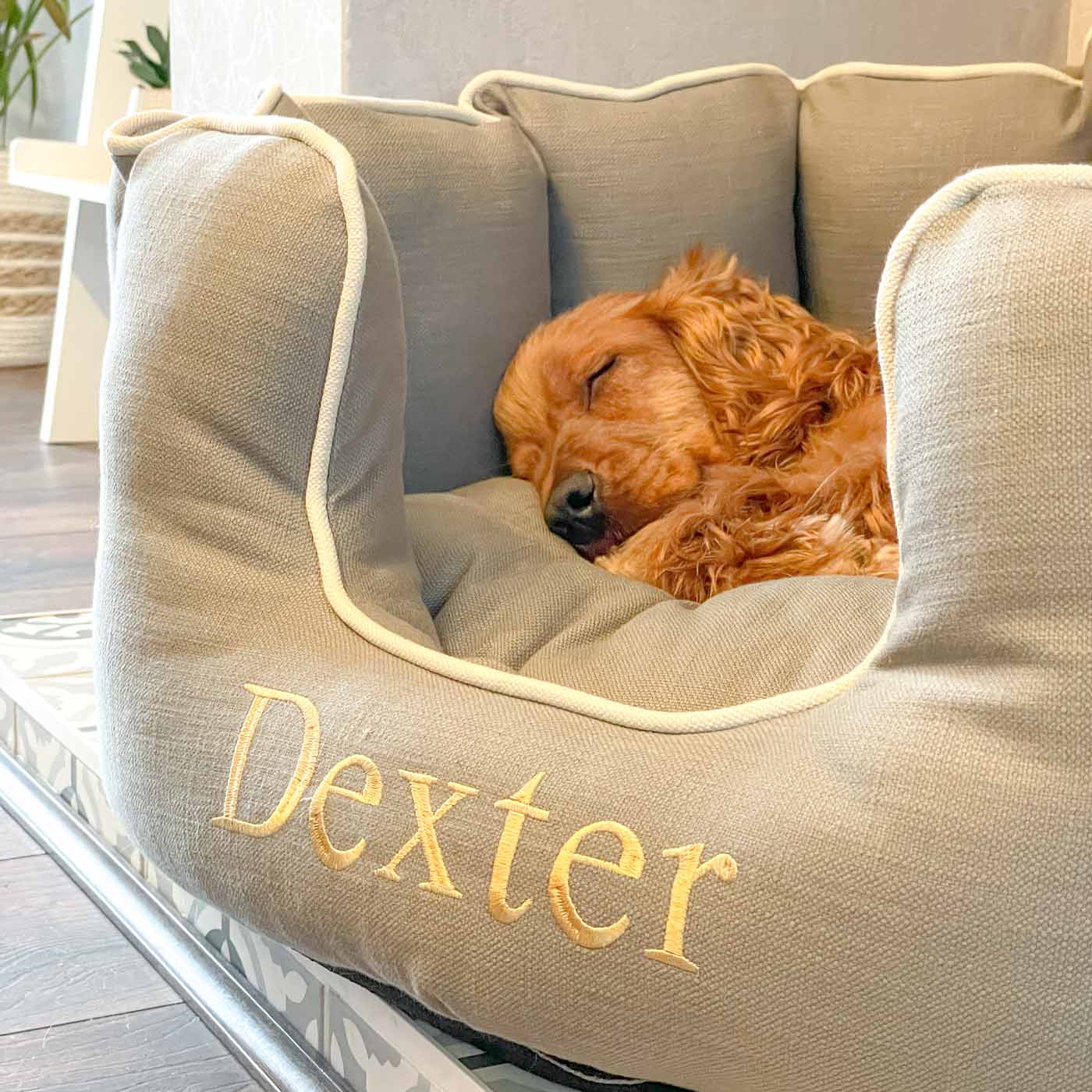 High Wall Bed For Dogs in Savanna by Lords & Labradors