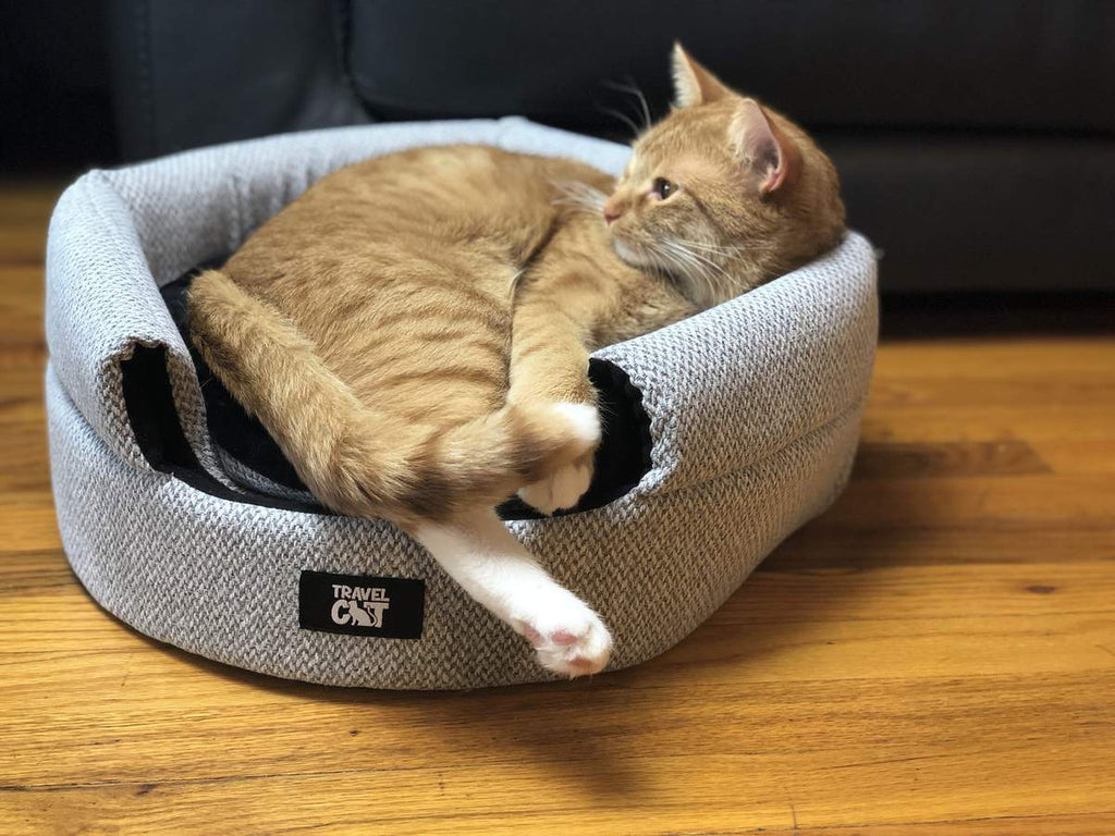 The Cozy AF Cat Bed Bundle