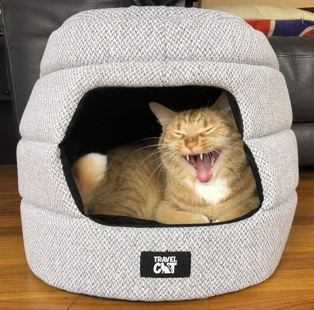 The Cozy AF Cat Bed Bundle