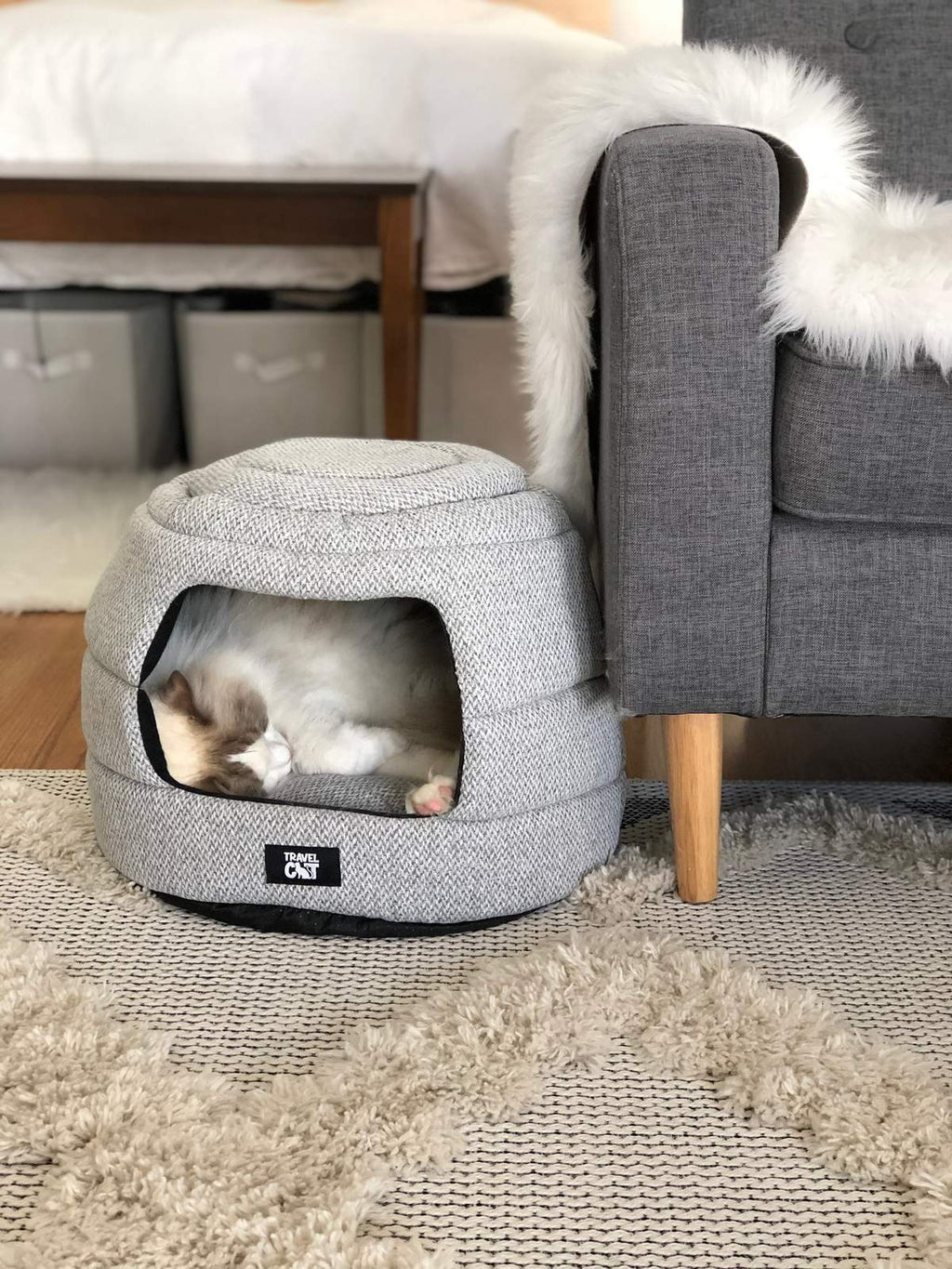 The Cozy AF Cat Bed Bundle