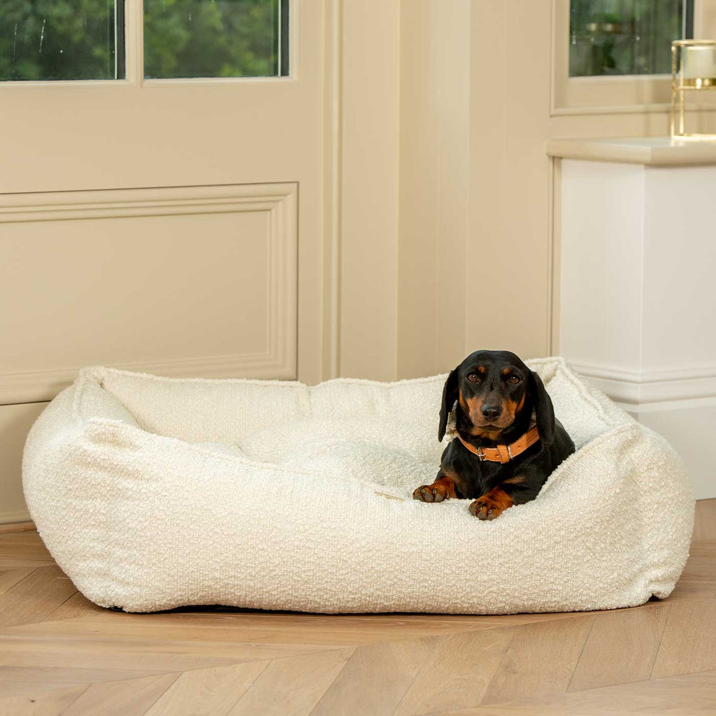 Box Bed For Dogs in Boucl¨¦ by Lords & Labradors