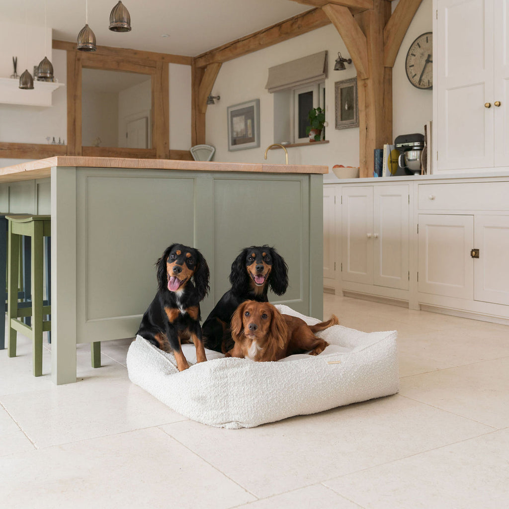 Box Bed For Dogs in Boucl¨¦ by Lords & Labradors