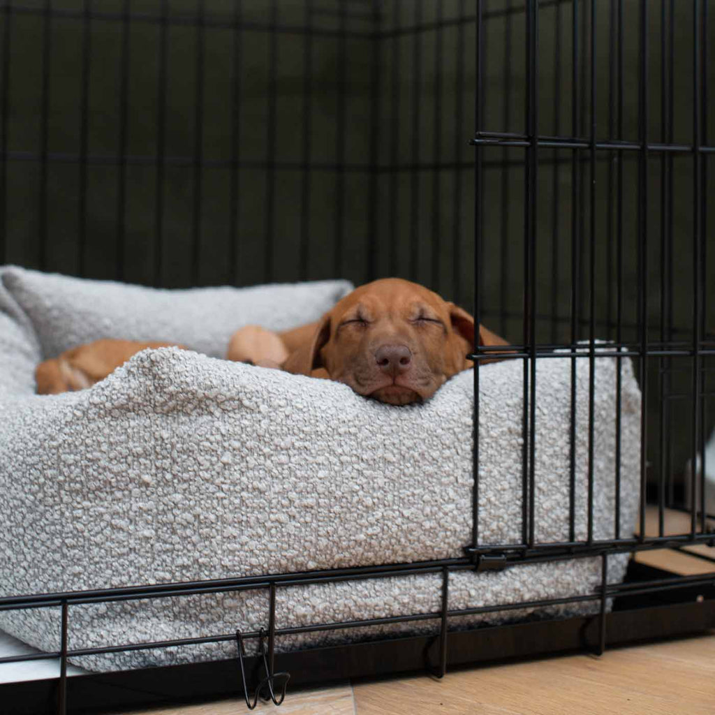 Cozy & Calming Puppy Cage Bed In Mink Boucl¨¦ by Lords & Labradors