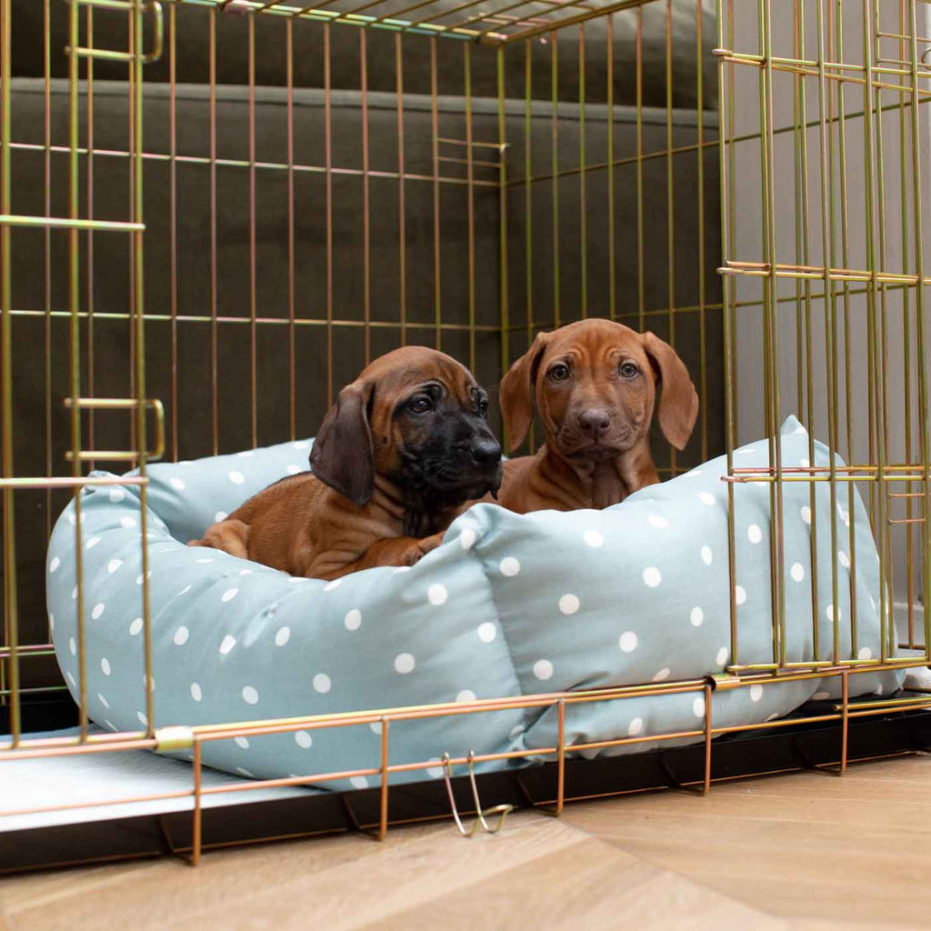 Cozy & Calming Puppy Cage Bed in Spots & Stripes by Lords & Labradors