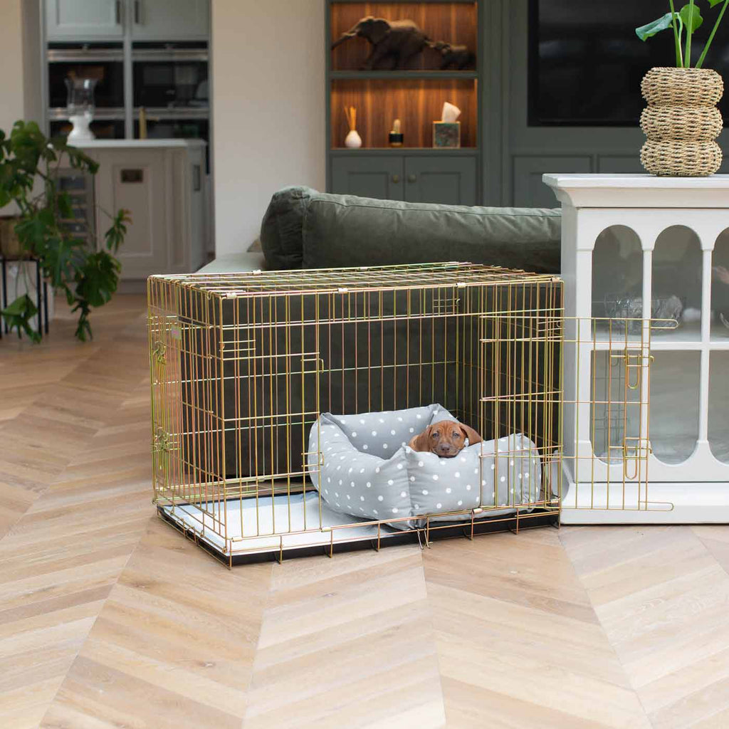 Cozy & Calming Puppy Cage Bed in Spots & Stripes by Lords & Labradors