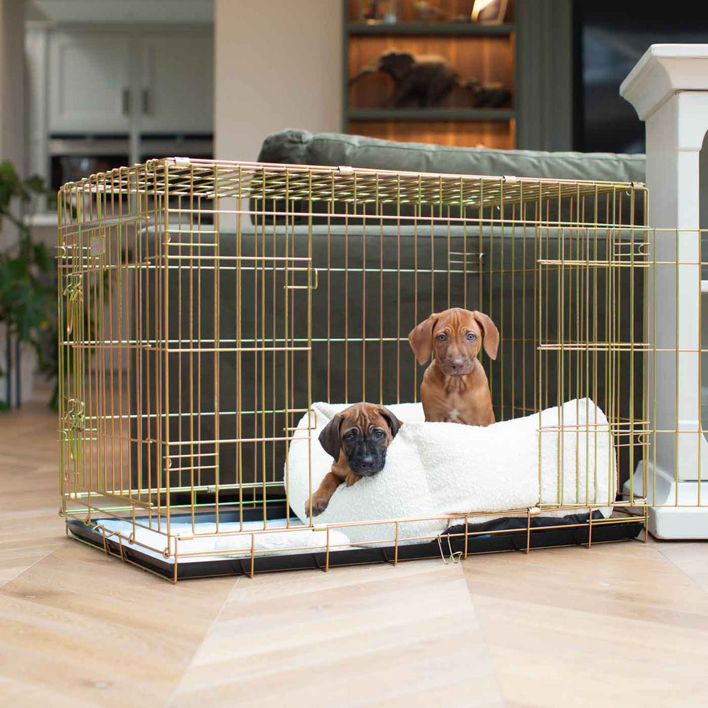 Cozy & Calming Puppy Cage Bed In Ivory Boucl¨¦ by Lords & Labradors