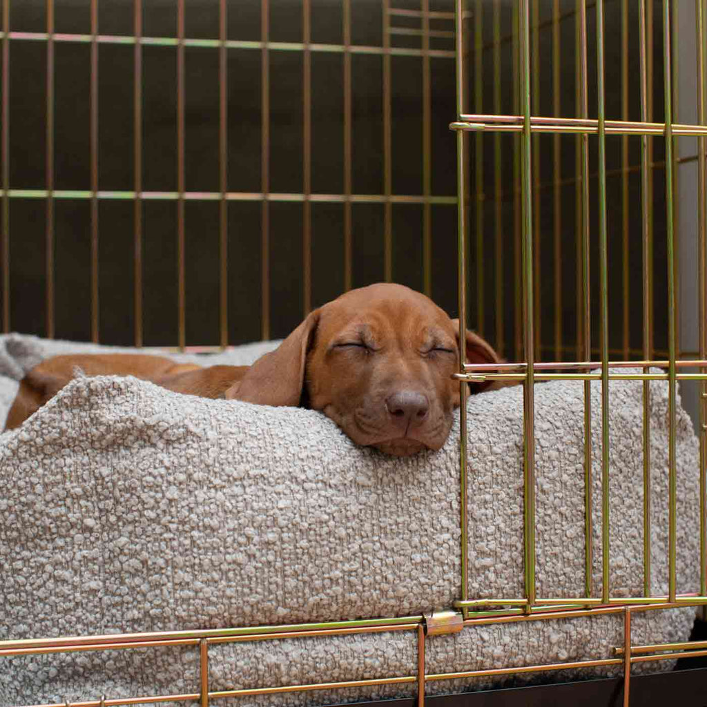 Cozy & Calming Puppy Cage Bed In Mink Boucl¨¦ by Lords & Labradors
