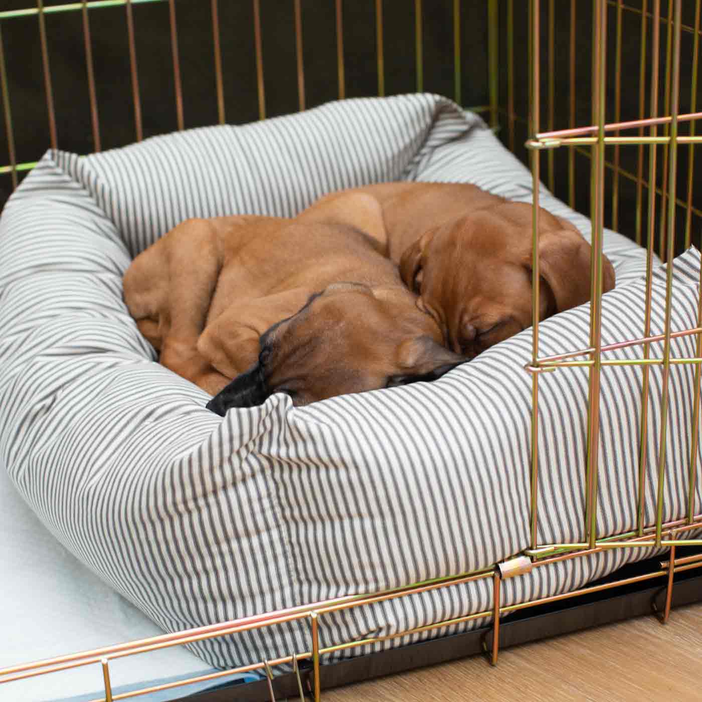 Cozy & Calming Puppy Cage Bed in Spots & Stripes by Lords & Labradors