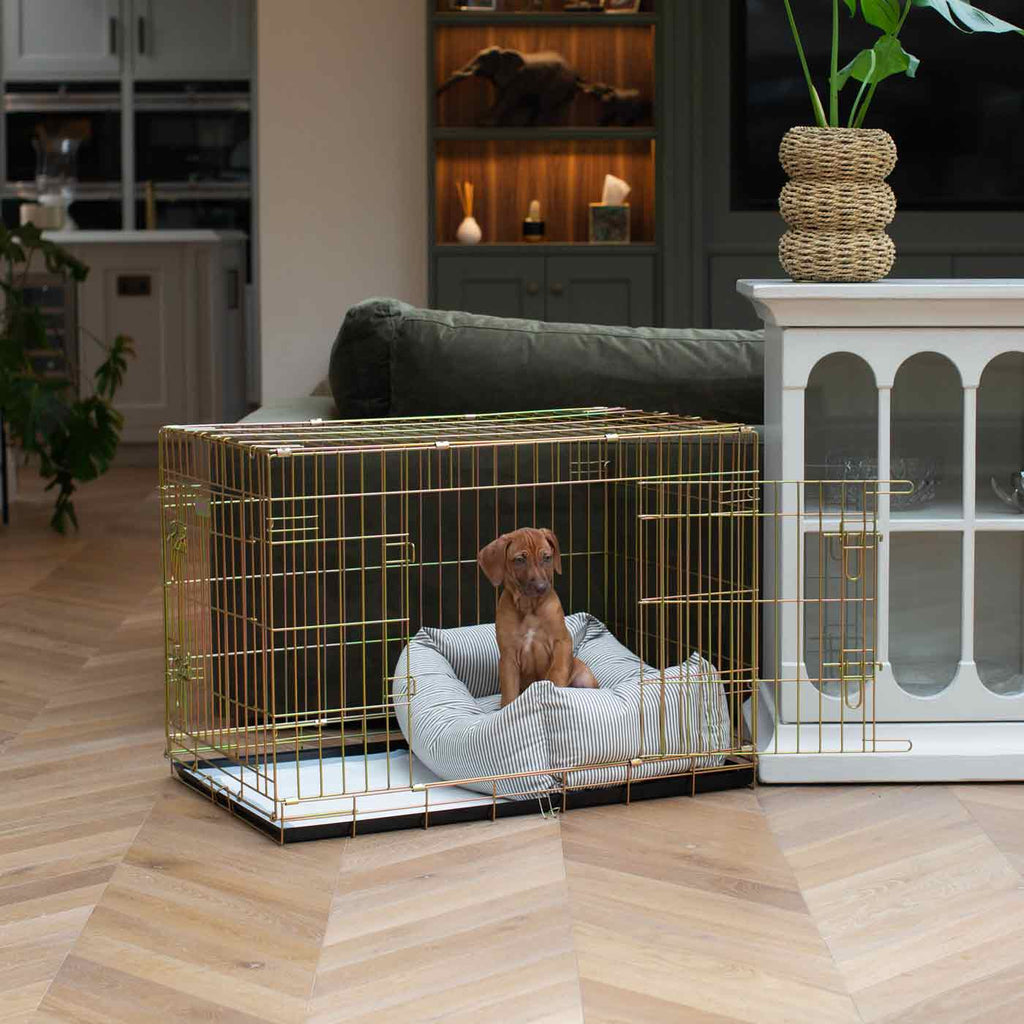 Cozy & Calming Puppy Cage Bed in Spots & Stripes by Lords & Labradors