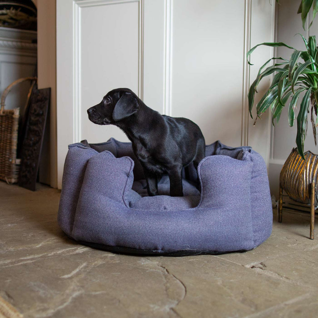 High Wall Bed For Dogs in Herringbone Tweed by Lords & Labradors