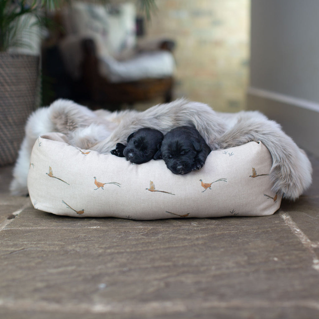 Cozy & Calming Puppy Cage Bed in Woodland Pheasant by Lords & Labradors