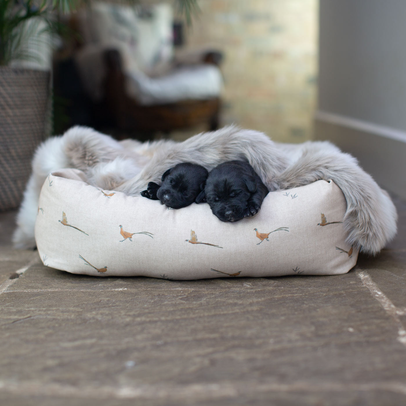 Cozy & Calming Puppy Cage Bed in Woodland Pheasant by Lords & Labradors