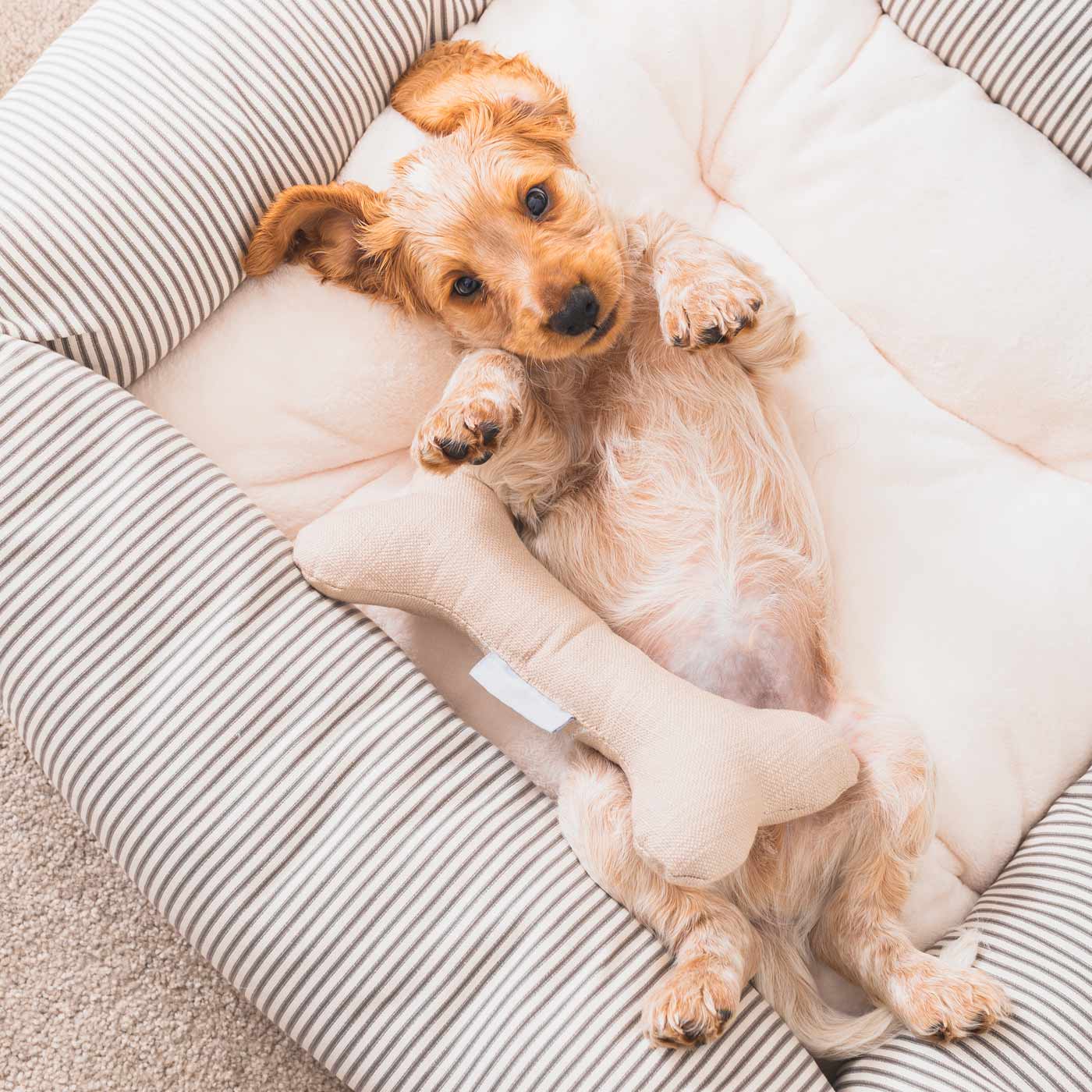 Bone Dog Toy in Savanna by Lords & Labradors