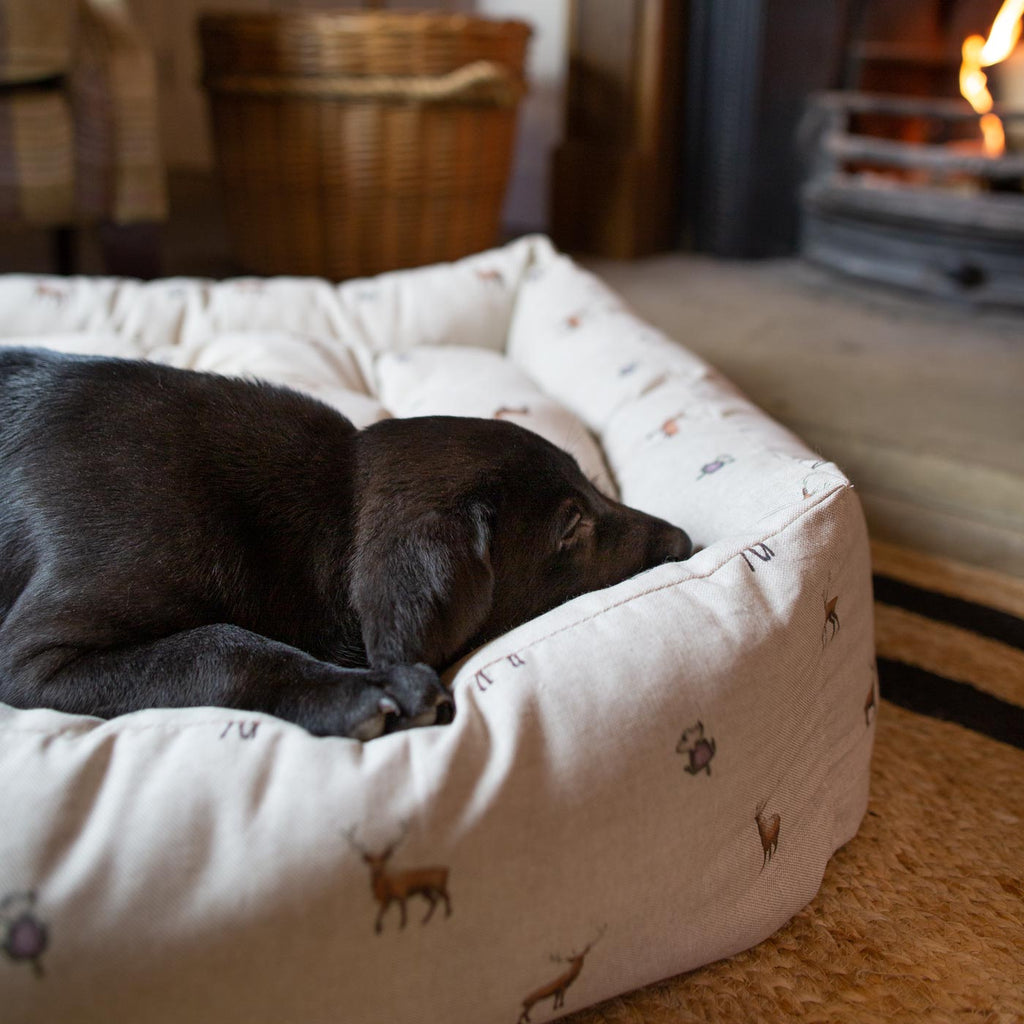 Box Bed For Dogs in Woodlands by Lords & Labradors