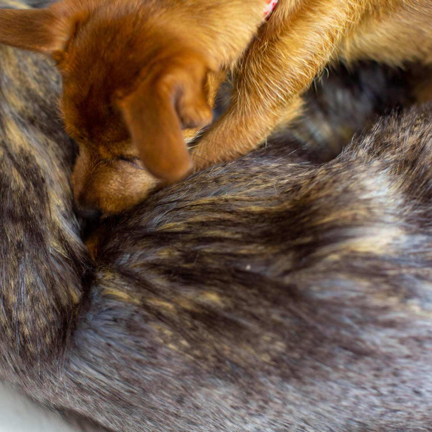 Calming Anti-Anxiety Donut Bed in Wolf Faux Fur by Lords & Labradors