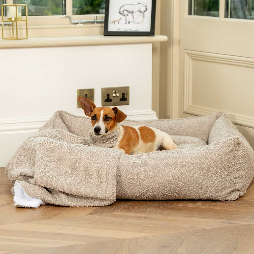 Box Bed For Dogs in Boucl¨¦ by Lords & Labradors