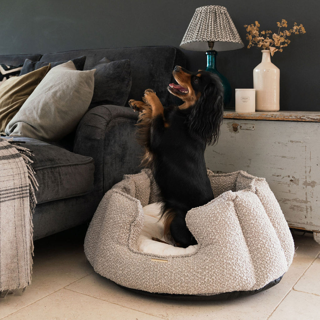 High Wall Bed For Dogs in Boucl¨¦ by Lords & Labradors