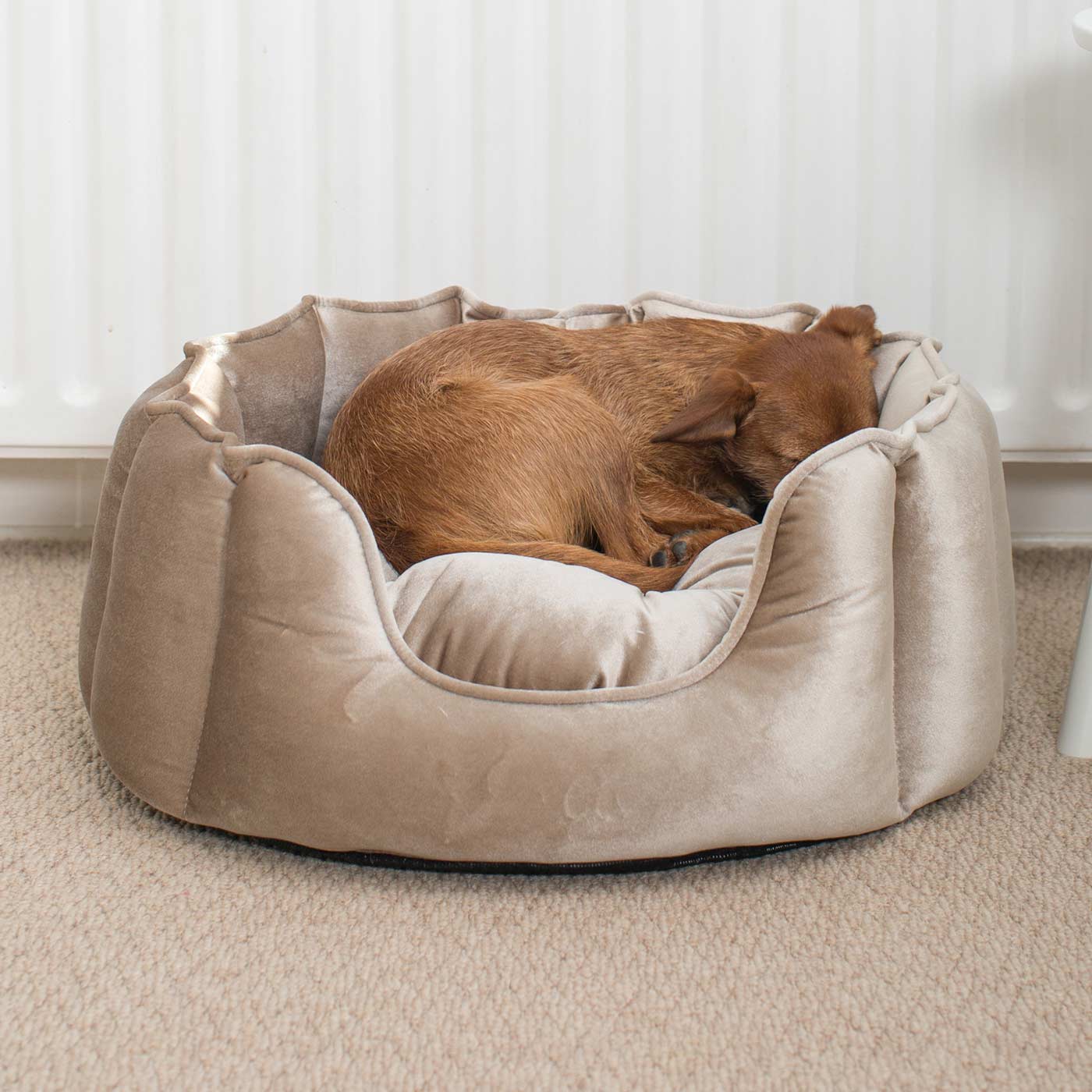 High Wall Bed For Dogs in Velvet by Lords & Labradors