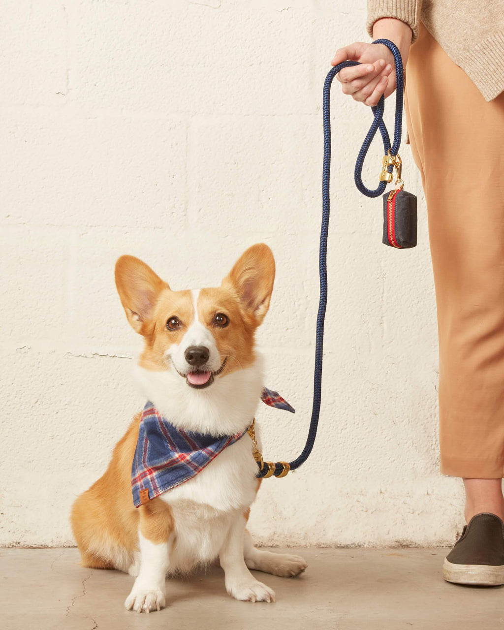 Ocean Marine Rope Dog Leash