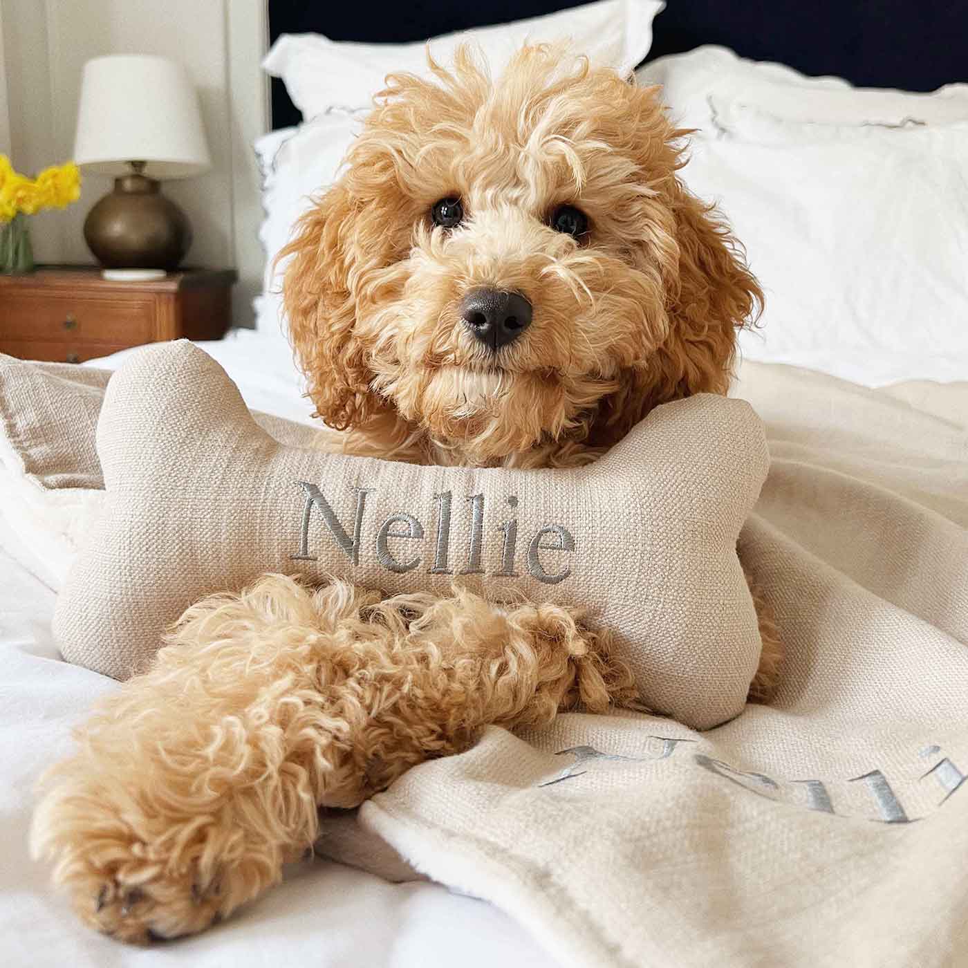 Bone Dog Toy in Savanna by Lords & Labradors