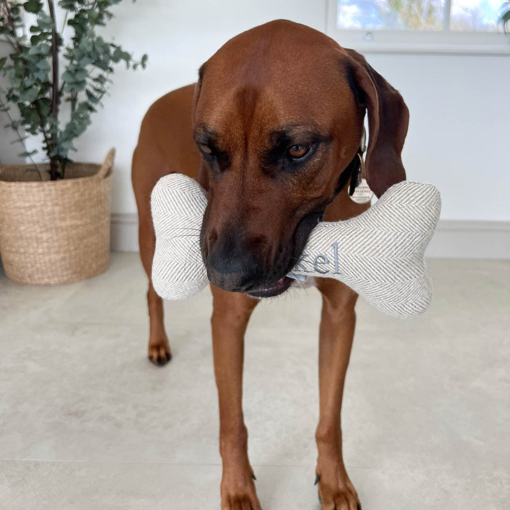 Bone Dog Toy in Herringbone Tweed by Lords & Labradors