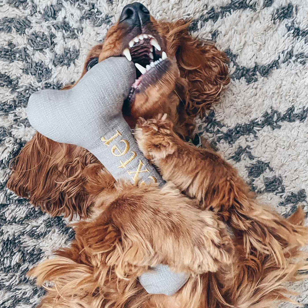 Bone Dog Toy in Savanna by Lords & Labradors