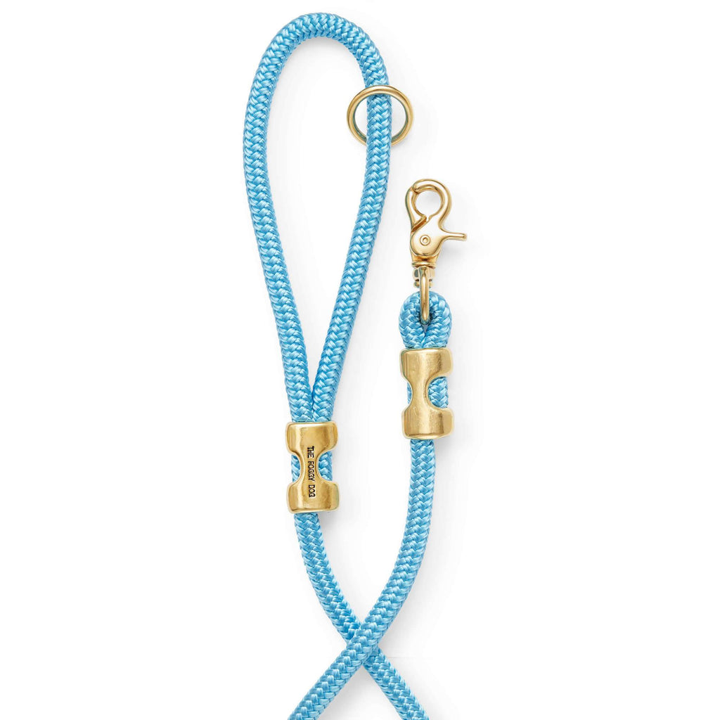 Powder Blue Marine Rope Dog Leash