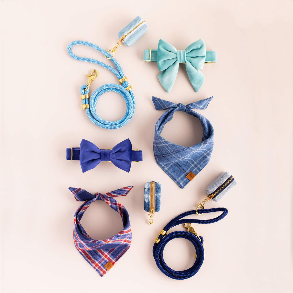 Powder Blue Marine Rope Dog Leash