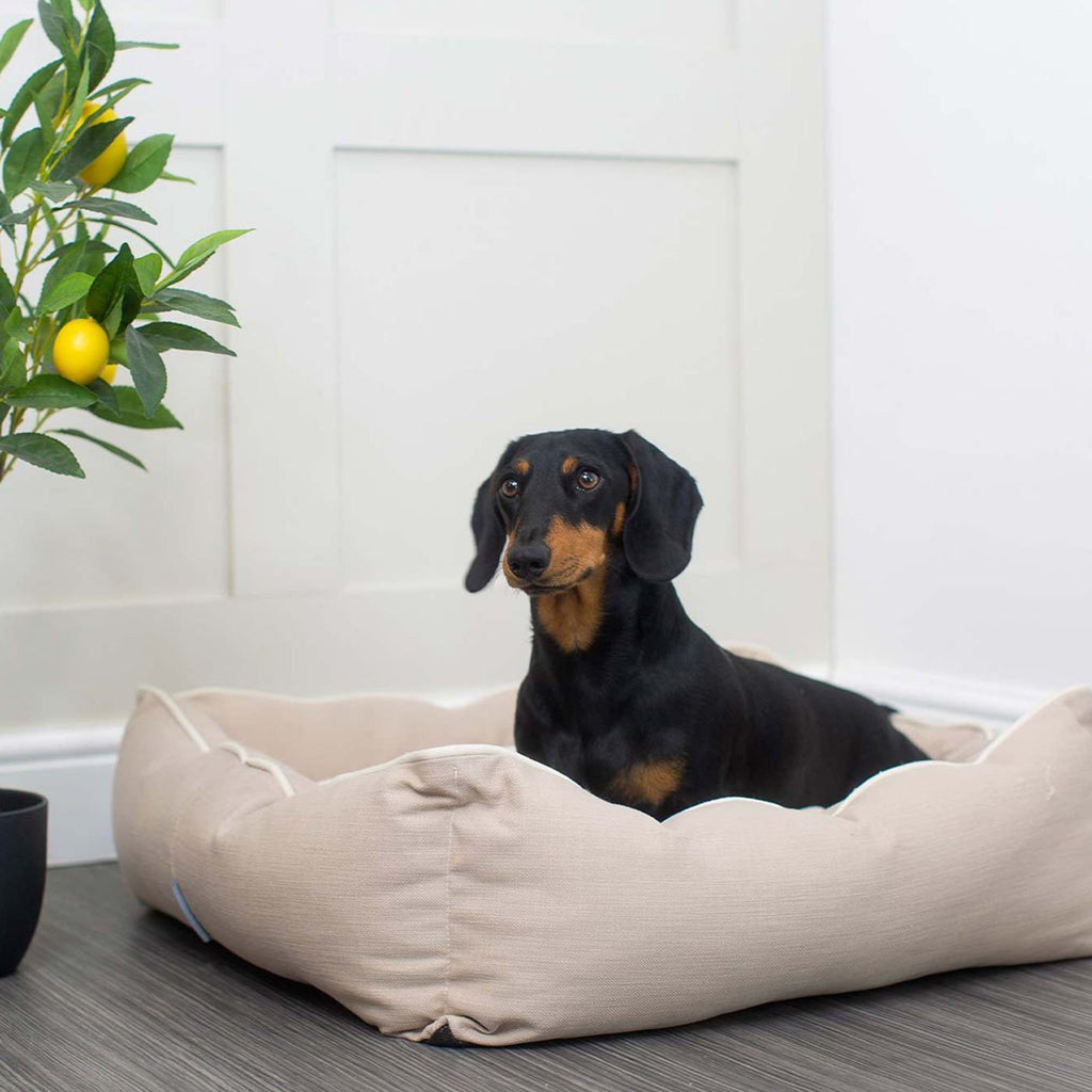 Box Bed For Dogs in Savanna by Lords & Labradors