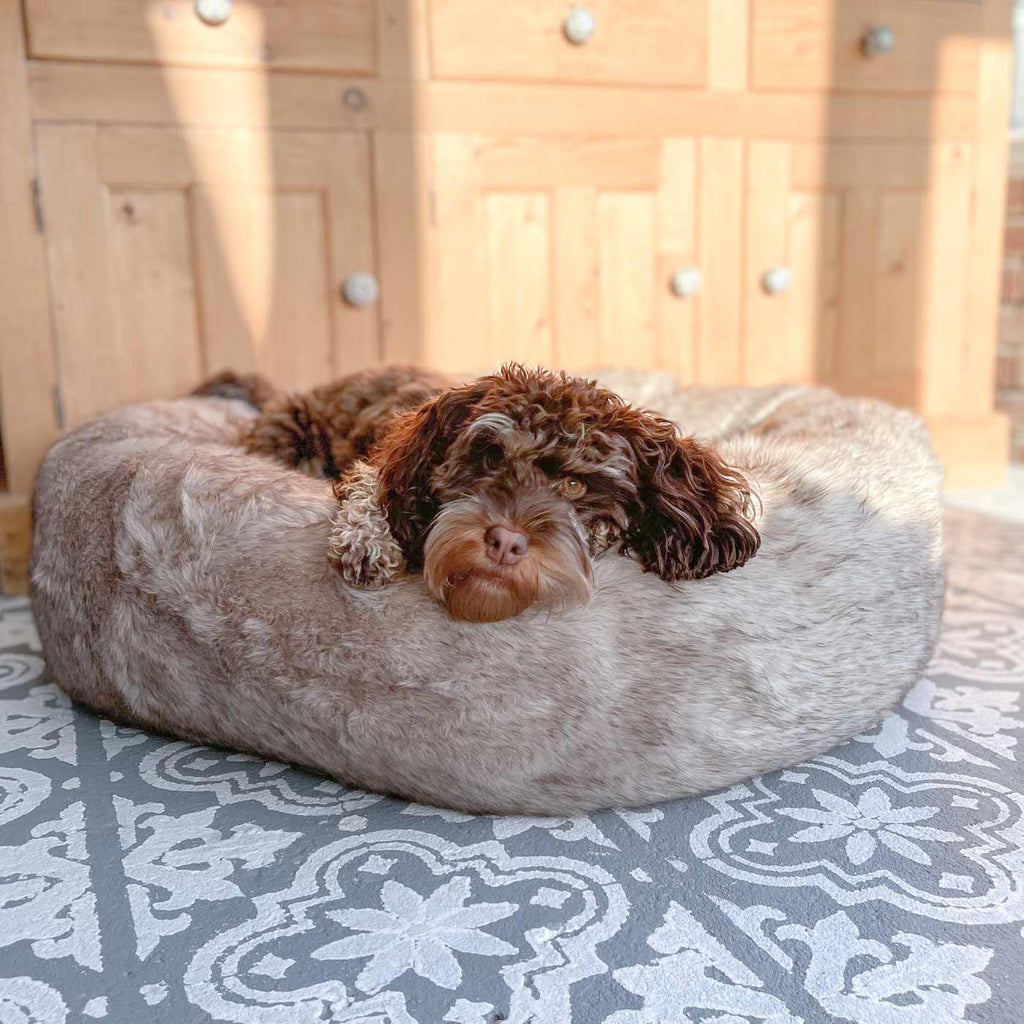 Calming Anti-Anxiety Donut Bed in Siberian Wolf Faux Fur by Lords & Labradors