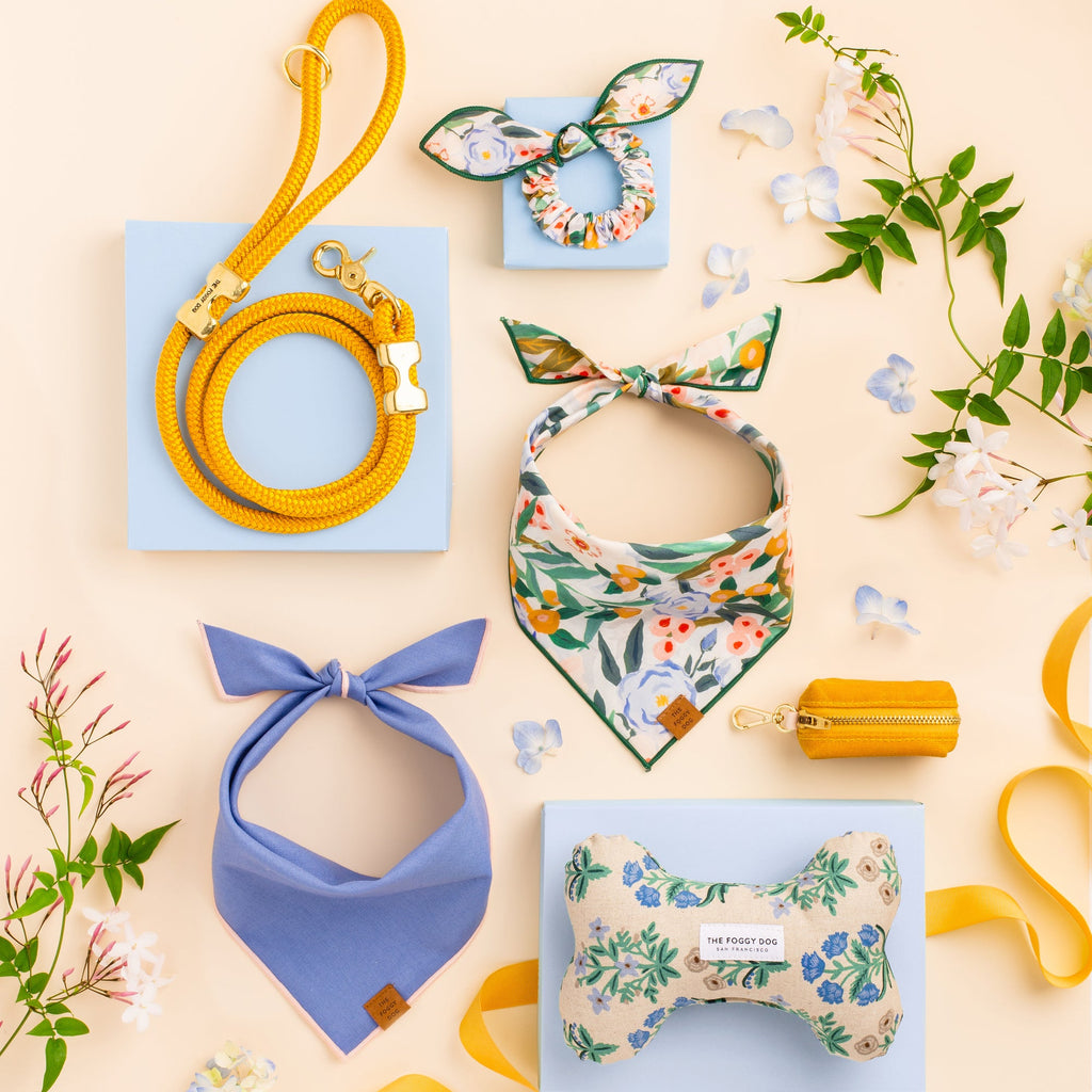 Goldenrod Marine Rope Dog Leash