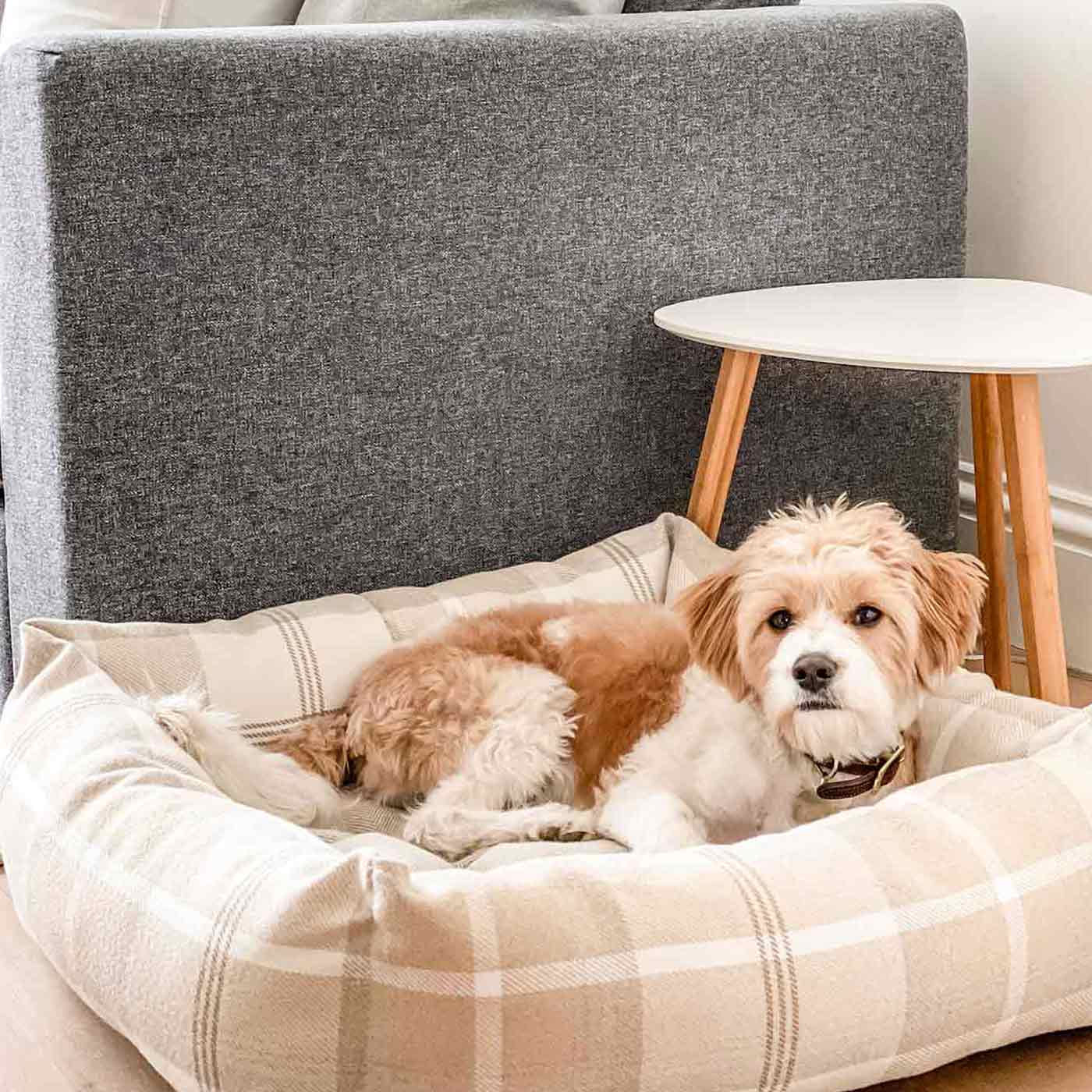 Box Bed For Dogs in Balmoral Tweed by Lords & Labradors
