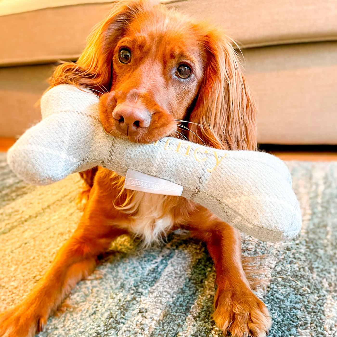 Bone Dog Toy in Balmoral Tweed by Lords and Labradors