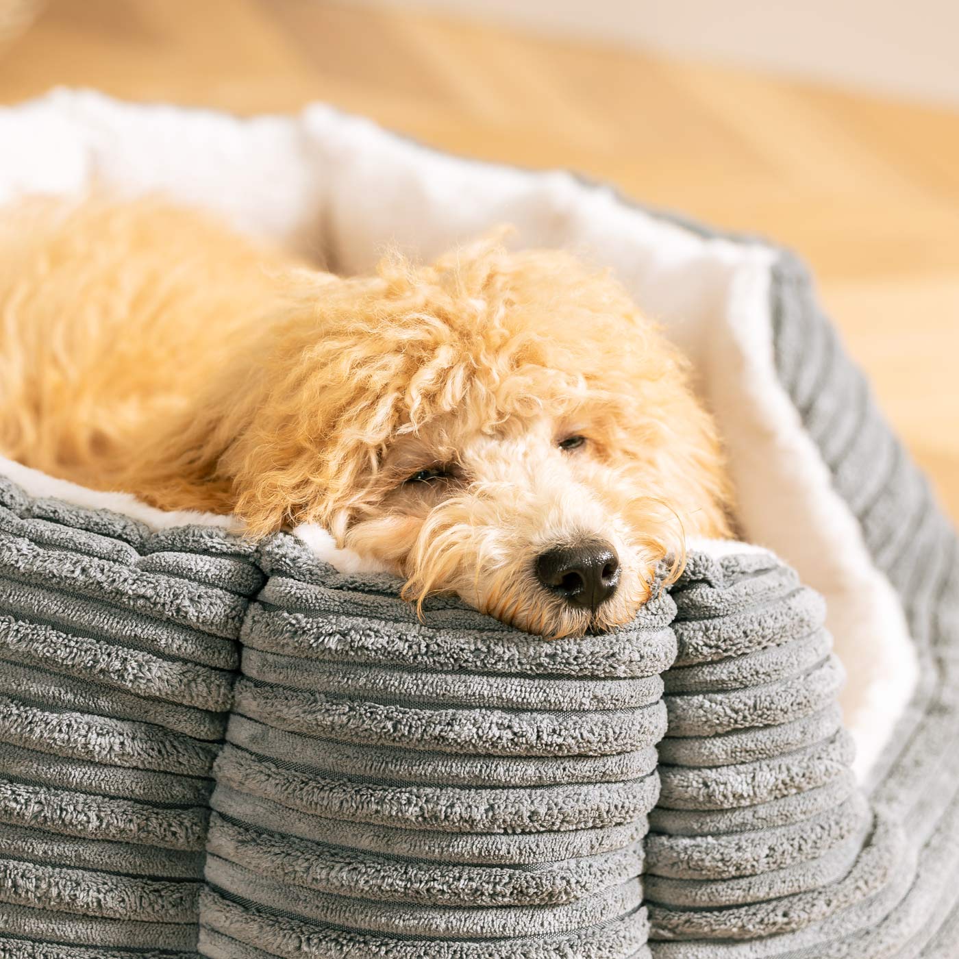 High Wall Bed For Dogs in Essentials Plush by Lords & Labradors