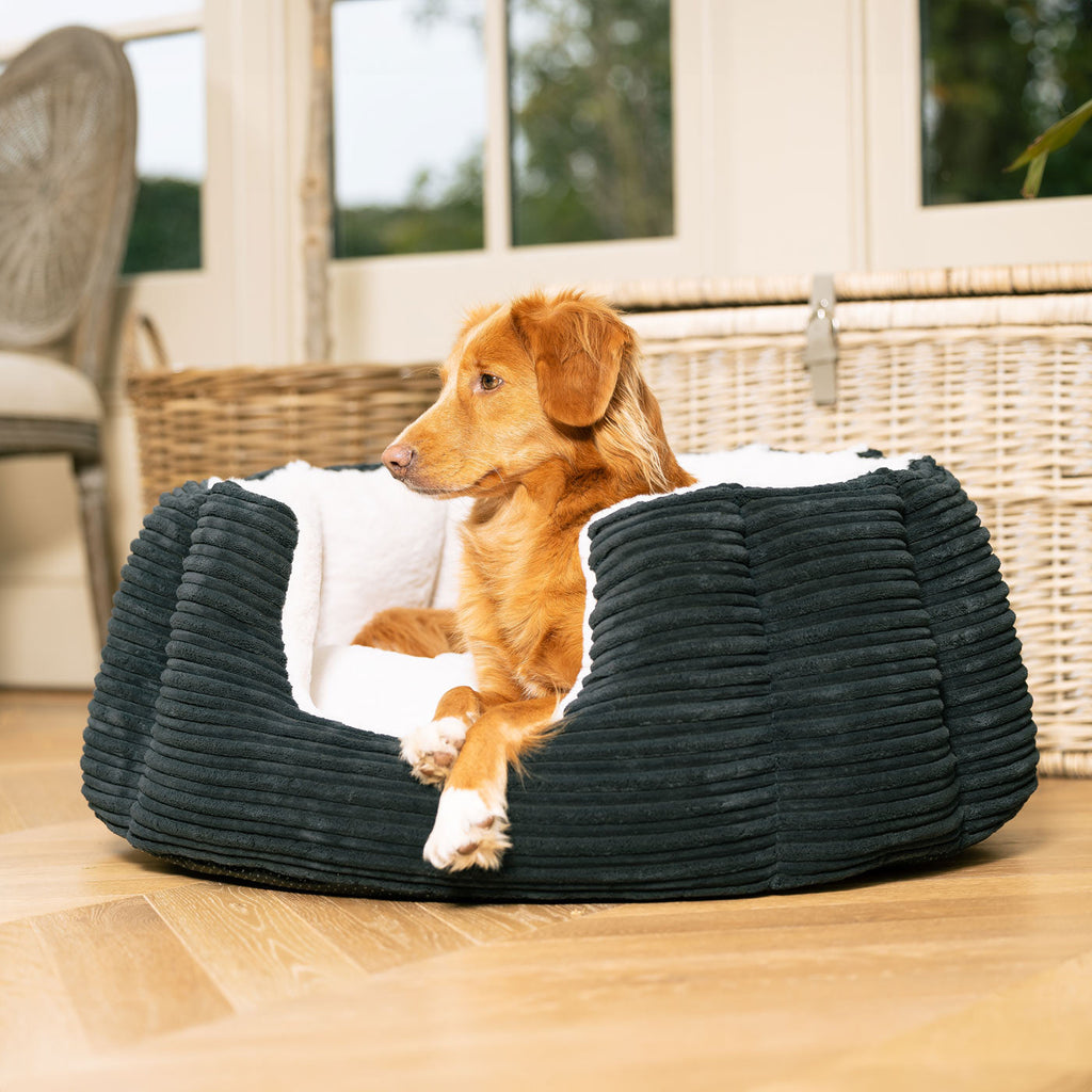 High Wall Bed For Dogs in Essentials Plush by Lords & Labradors