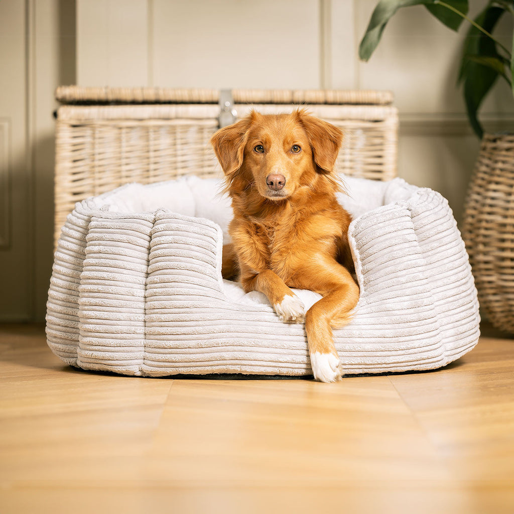 High Wall Bed For Dogs in Essentials Plush by Lords & Labradors