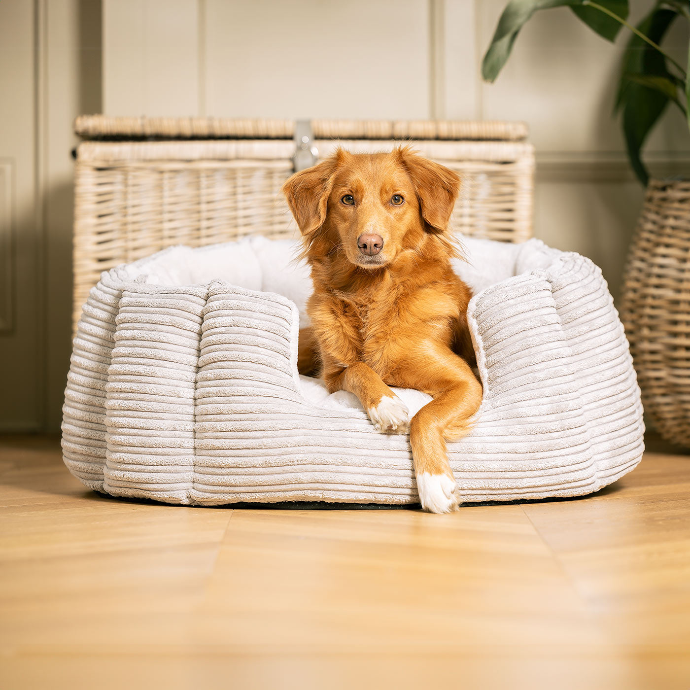 High Wall Bed For Dogs in Essentials Plush by Lords & Labradors