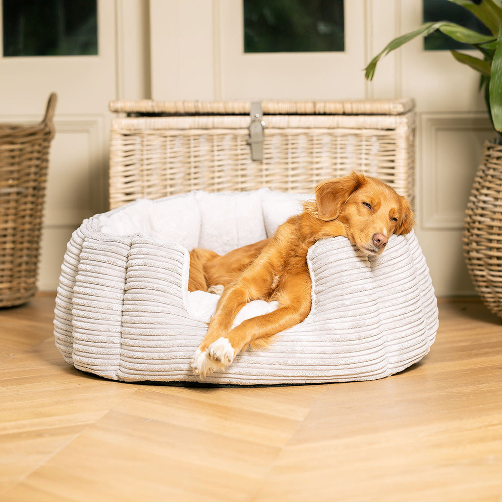 High Wall Bed For Dogs in Essentials Plush by Lords & Labradors